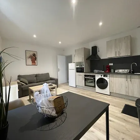 Appartement Magnifique T2 Entierement Renove